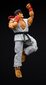 Figūra Street Fighter Ryu, aksesuāri cena un informācija | Rotaļlietas zēniem | 220.lv