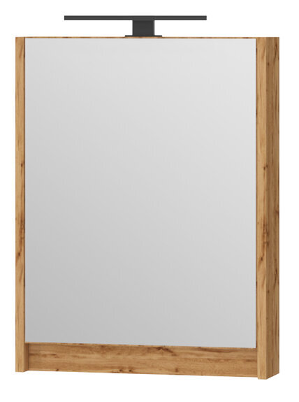 Skapītis Leomc-50 ar spoguli, brūns cena un informācija | Vannas istabas skapīši | 220.lv