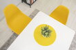 Krēsls Osaka, dzeltens/brūns cena un informācija | Virtuves un ēdamistabas krēsli | 220.lv