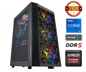 Стационарный компьютер Gamer i7-13700F 8GB 256GB NVME SSD 1TB HDD RX 5700 XT Windows 11 цена и информация | Стационарные компьютеры | 220.lv