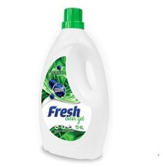 Жидкий стиральный порошок Fresh Color Gel 4 л / 66 стирок цена и информация | Средства для стирки | 220.lv