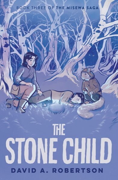 Stone Child: The Misewa Saga, Book Three цена и информация | Grāmatas pusaudžiem un jauniešiem | 220.lv