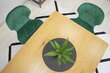 Krēsls Nest, zaļš цена и информация | Virtuves un ēdamistabas krēsli | 220.lv