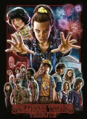 Stranger Things: Tribute цена и информация | Рассказы, новеллы | 220.lv