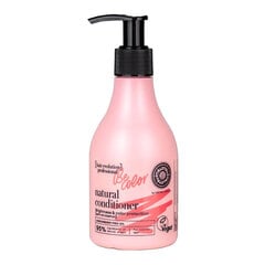 Matu kondicionieris spilgtumam un krāsu aizsardzībai NS Hair Evolution Be-Color, 245 ml цена и информация | Бальзамы, кондиционеры | 220.lv