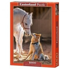 Puzle Castorland Unique Friendship 1000 det cena un informācija | Puzles, 3D puzles | 220.lv