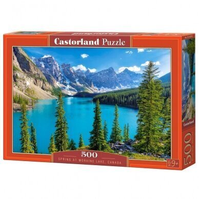 Puzle Castorland Moraine Lake, Canada 500 det cena un informācija | Puzles, 3D puzles | 220.lv