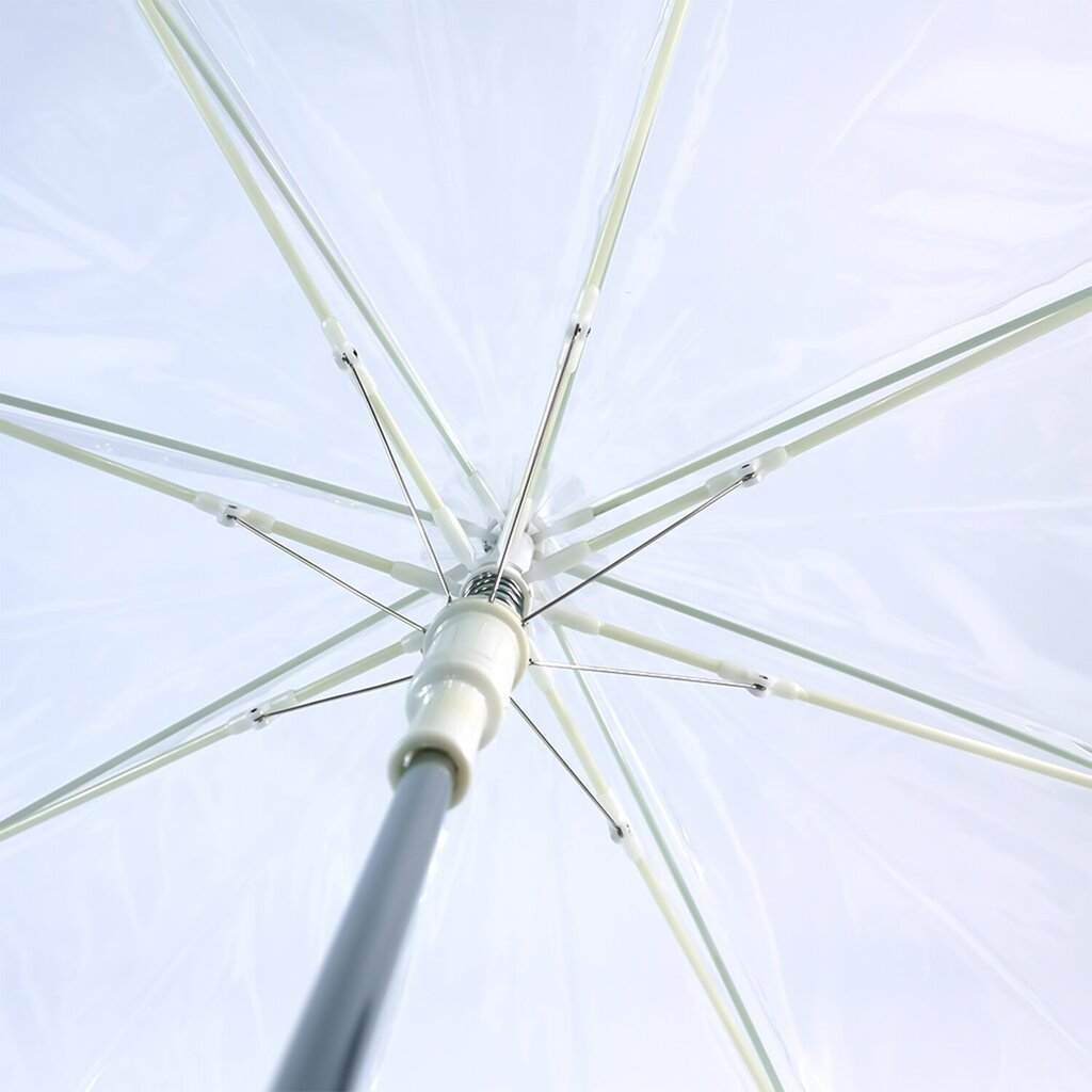 Caurspīdīgs lietussargs cena un informācija | Lietussargi sievietēm | 220.lv