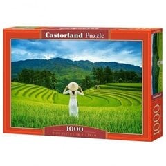 Puzle Castorland Rice Fields in Vietnam 1000 det cena un informācija | Puzles, 3D puzles | 220.lv