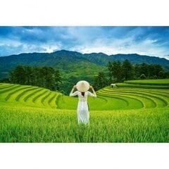 Puzle Castorland Rice Fields in Vietnam 1000 det cena un informācija | Puzles, 3D puzles | 220.lv