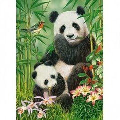 Puzle Castorland Panda Brunch 300 det. cena un informācija | Puzles, 3D puzles | 220.lv