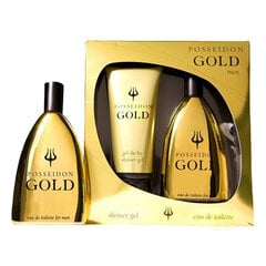 Мужской косметический набор Gold Posseidon (2 pcs) цена и информация | Мужские духи | 220.lv