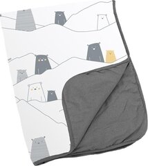 Одеяло Doomoo Dream Bear Grey, серое, 75 x 100 см цена и информация | Пеленальные доски и пеленки | 220.lv