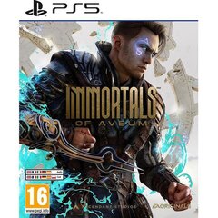 Immortals of Aveum, PlayStation 5 - Game цена и информация | Компьютерные игры | 220.lv