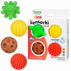 Сенсорные шарики Tullo 495, 4 шт. цена и информация | Игрушки для малышей | 220.lv