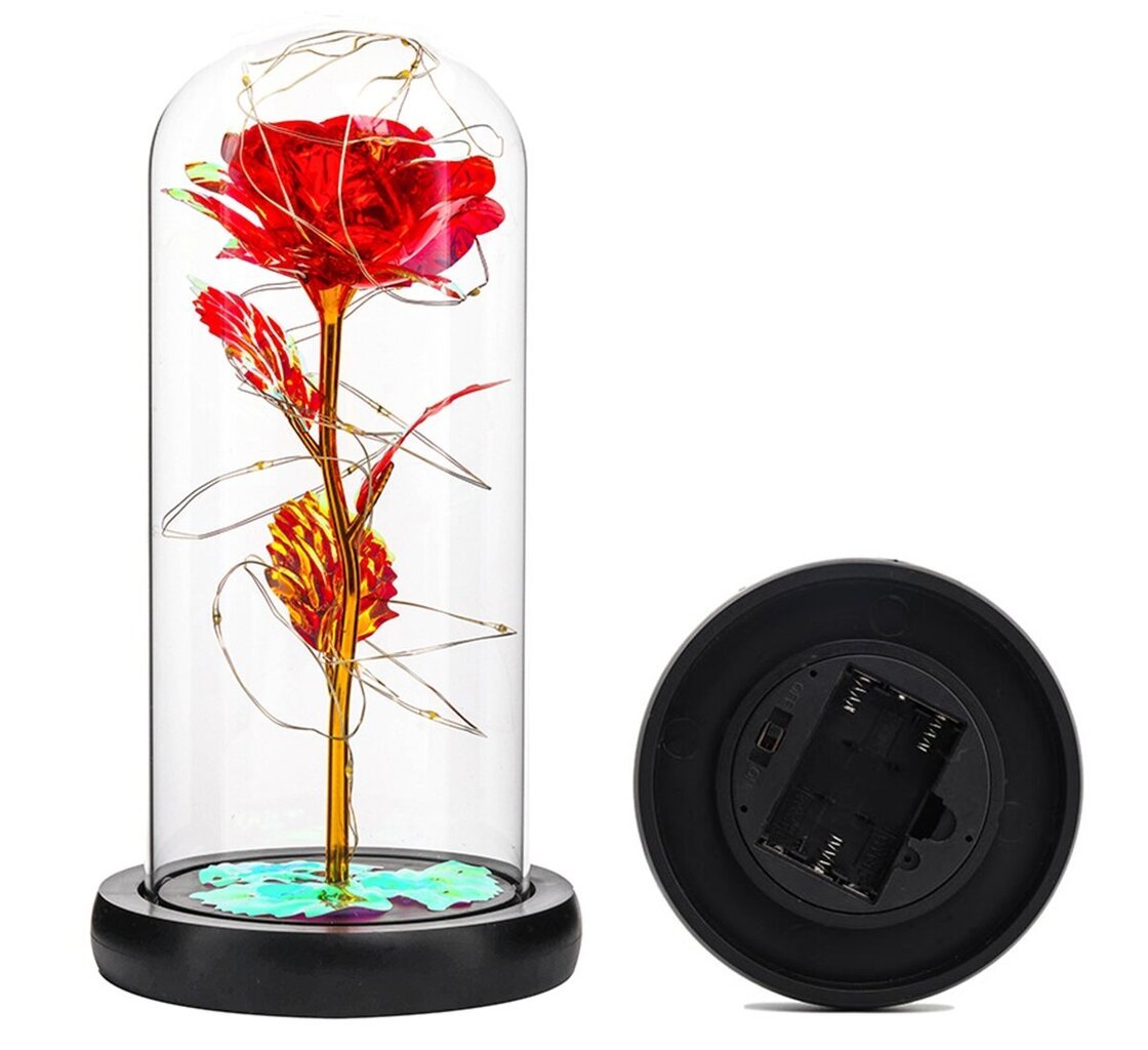 Mūžīgā roze LED stiklā цена и информация | Stabilizētās rozes, augi | 220.lv