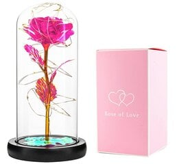 Mūžīgā roze LED rozā stiklā цена и информация | Спящие стабилизированные розы, растения | 220.lv