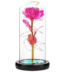 Вечная Роза В Светодиодном Розовом Стекле цена и информация | Спящие стабилизированные розы, растения | 220.lv