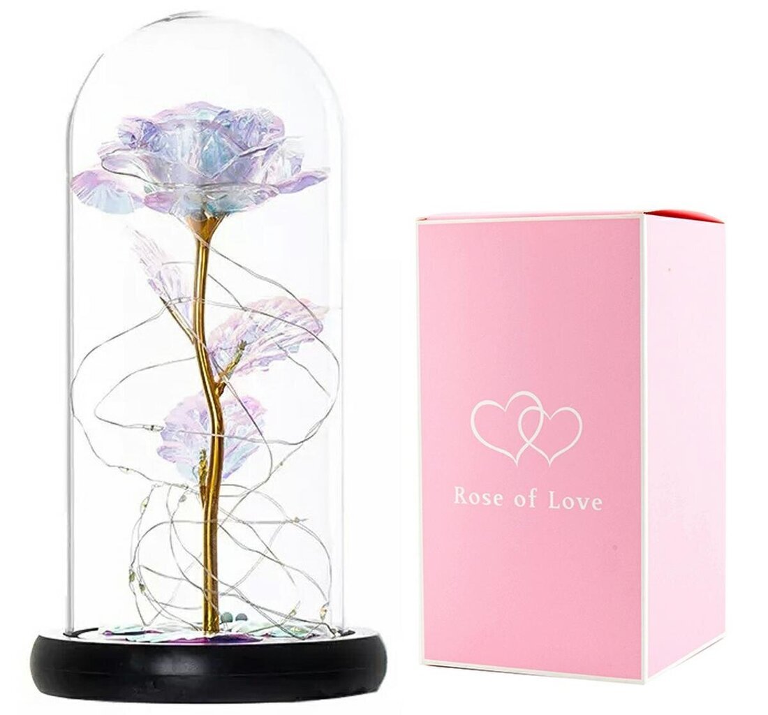 Mūžīgā roze LED baltā stiklā цена и информация | Stabilizētās rozes, augi | 220.lv