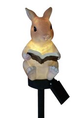 Светодиодная Солнечная Лампа Кролик С Книгой цена и информация | Уличное освещение | 220.lv