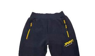 Спортивные брюки для мальчиков, синие цена и информация | Штаны для мальчика ABN-2894/CZA/098 | 220.lv