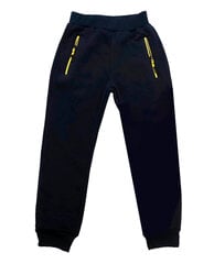 Утепленные штаны для мальчиков цена и информация | Штаны для мальчика ABN-2894/CZA/098 | 220.lv