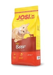 Josera JosiCat Tasty Beef pieaugušiem kaķiem ar liellopu gaļu, 1,9 kg cena un informācija | Josera Zoo preces | 220.lv