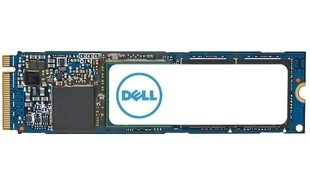 Dell AC037411 цена и информация | Внутренние жёсткие диски (HDD, SSD, Hybrid) | 220.lv