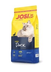 Josera JosiCat Crispy Duck pieaugušiem kaķiem, ar kraukšķīgu pīli, 1,9 kg цена и информация | Сухой корм для кошек | 220.lv