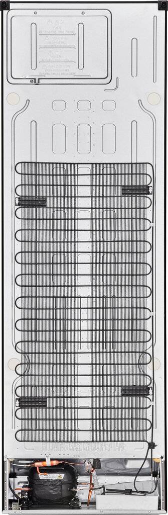 LG GBB71MCVGN cena un informācija | Ledusskapji | 220.lv