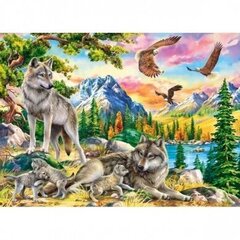 Puzle Castorland Wolf Family and Eagles 300 det. цена и информация | Пазлы | 220.lv