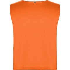 Манишка детская Ajax Kids, оранжевая цена и информация | Рубашки для мальчиков | 220.lv