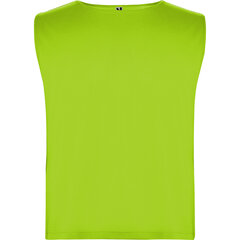 T-krekls bērniem Roly Ajax Kids, zaļš cena un informācija | Zēnu krekli | 220.lv
