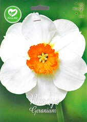 Narcises Geranium cena un informācija | Sīpolpuķes | 220.lv