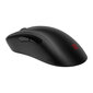 BenQ Zowie EC2-CW цена и информация | Peles | 220.lv