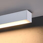 Sollux griestu lampa Pinne 200 цена и информация | Griestu lampas | 220.lv