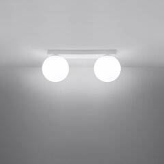 Sollux griestu lampa Yoli 2 цена и информация | Потолочные светильники | 220.lv