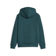 Puma Джемпер Ess + 2 Col Big Logo Green 586987 75 586987 75/152 цена и информация | Свитеры, жилетки, пиджаки для мальчиков | 220.lv