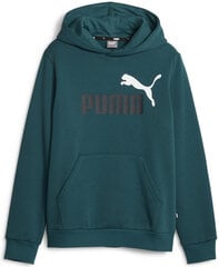 Puma Джемпер Ess + 2 Col Big Logo Green 586987 75 586987 75/152 цена и информация | Свитеры, жилетки, пиджаки для мальчиков | 220.lv