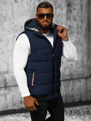 Veste vīriešiem Inker JS/84M3028/215, zila cena un informācija | Vīriešu vestes | 220.lv