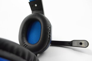 Steelplay Hp41 Wired Stereo Headset, Black & Blue cena un informācija | Austiņas | 220.lv