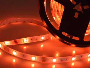 Tālvadības pults vadāma LED sloksne, 5 m cena un informācija | LED lentes | 220.lv