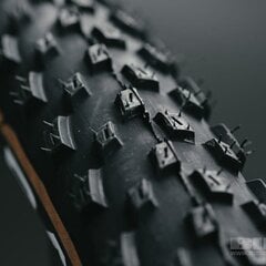 Velosipēdu riepa Vittoria Barzo TLR Fold, 29", melna цена и информация | Покрышки, шины для велосипеда | 220.lv