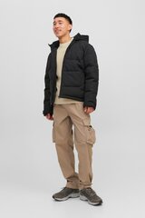 Jack & Jones мужская куртка 200г 12239001*01, черный 5715431279950 цена и информация | Мужские куртки | 220.lv