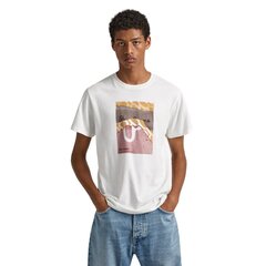 T-krekls vīriešiem 82647, balts цена и информация | Мужские футболки | 220.lv