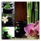 Glezna uz audekla, Zen kolāža - orhideja, bambuss, akmeņi cena un informācija | Gleznas | 220.lv