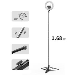 USAMS Uchwyt na telefon z lampą LED tripod czarny|black ZB241ZJ01 (US-ZB241) цена и информация | Осветительное оборудование для фотосъемок | 220.lv