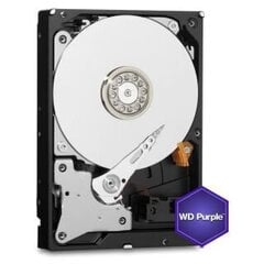 Жесткий диск Western Digital Purple WD11PURZ цена и информация | Внутренние жёсткие диски (HDD, SSD, Hybrid) | 220.lv