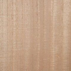 ТВ шкаф SASHA Натуральный Деревянный Кремовый ротанг цена и информация | Тумбы под телевизор | 220.lv