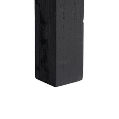 ТВ шкаф SHADOW Чёрный древесина кипариса 150 x 40 x 55 cm цена и информация | Тумбы под телевизор | 220.lv